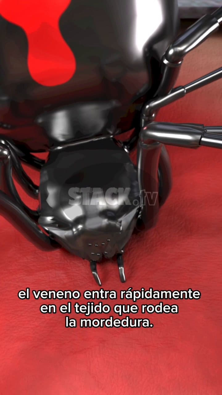 Ssstik.io 1736962079425