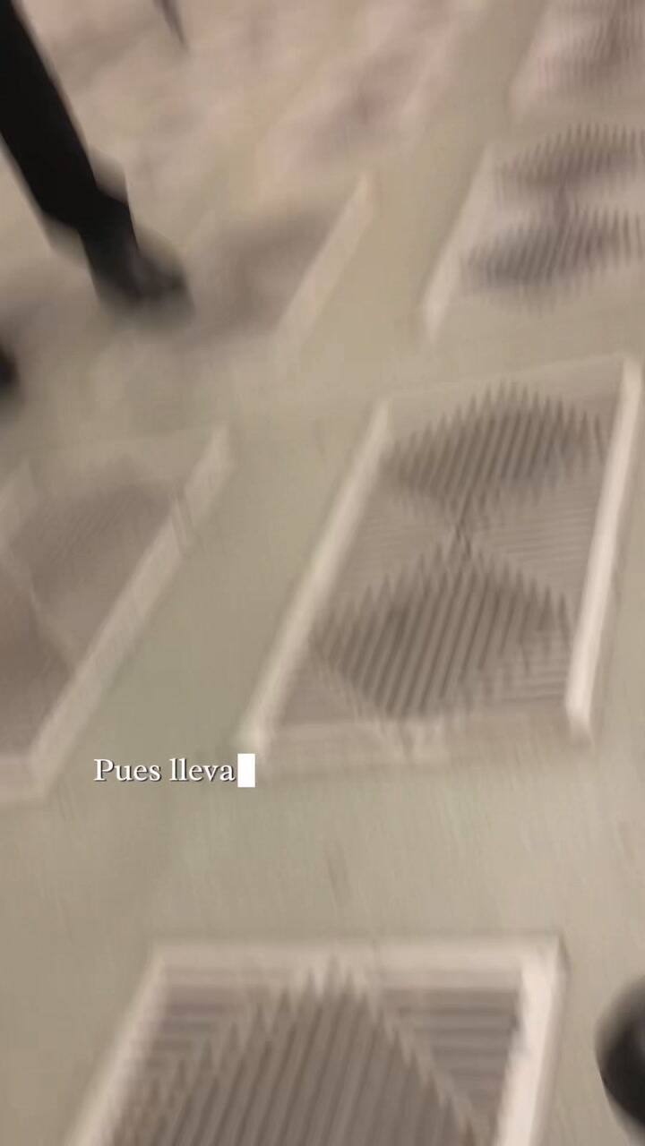Así fue cuando el Santo Padre dio el consejo al matrimonio (Video: TikTok @dianamenaav)
