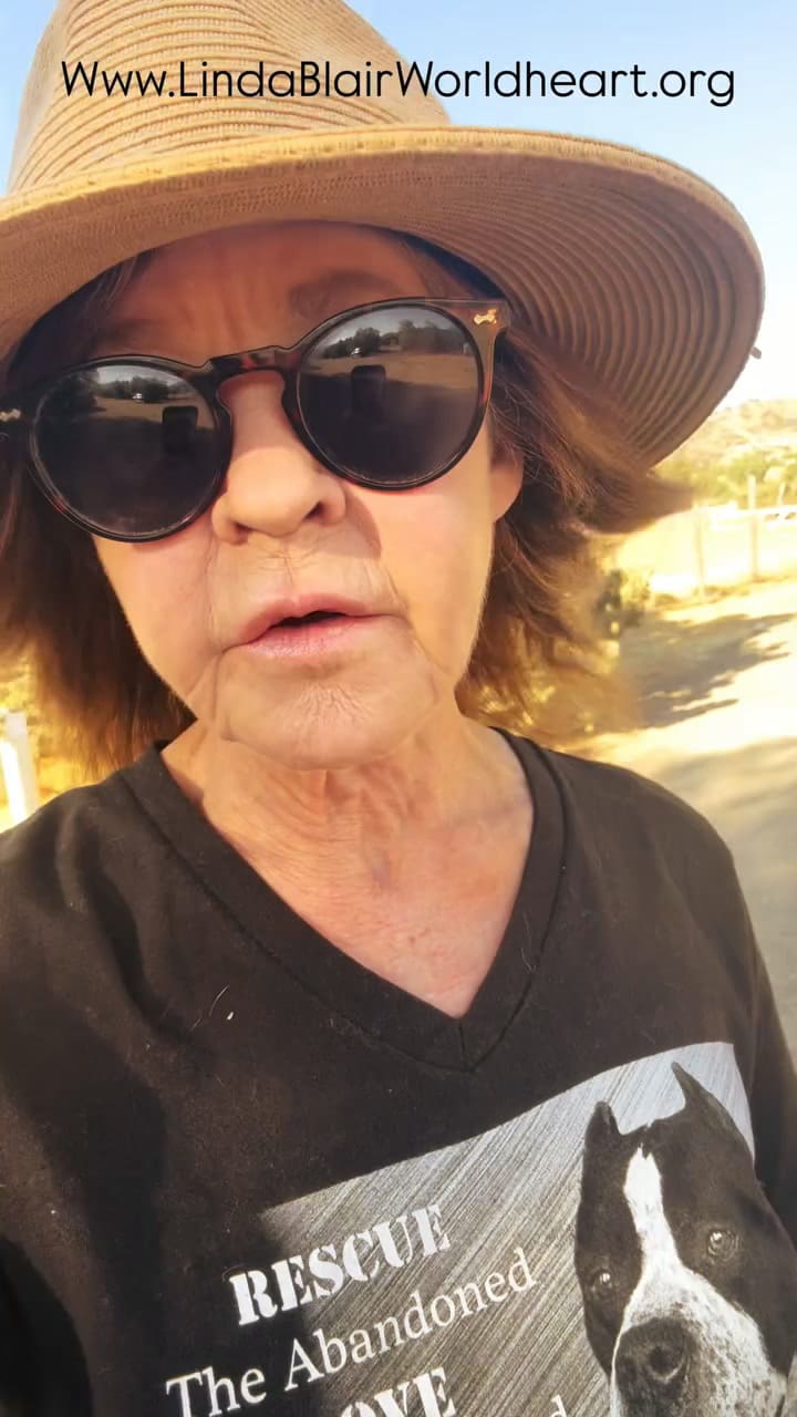 La palabra de Linda Blair tras el allanamiento en su casa