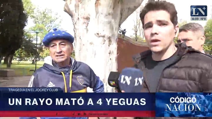 Habló uno de los petiseros del Jockey Club tras la muerte de las cuatro yeguas: “No fue un rayo directo; todo el instrumento que tienen es hierro”