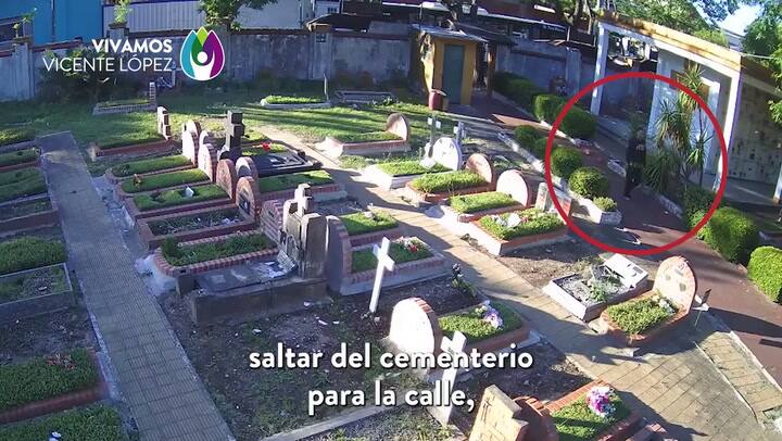 Así detuvieron a un hombre que robaba en el Cementerio de Olivos