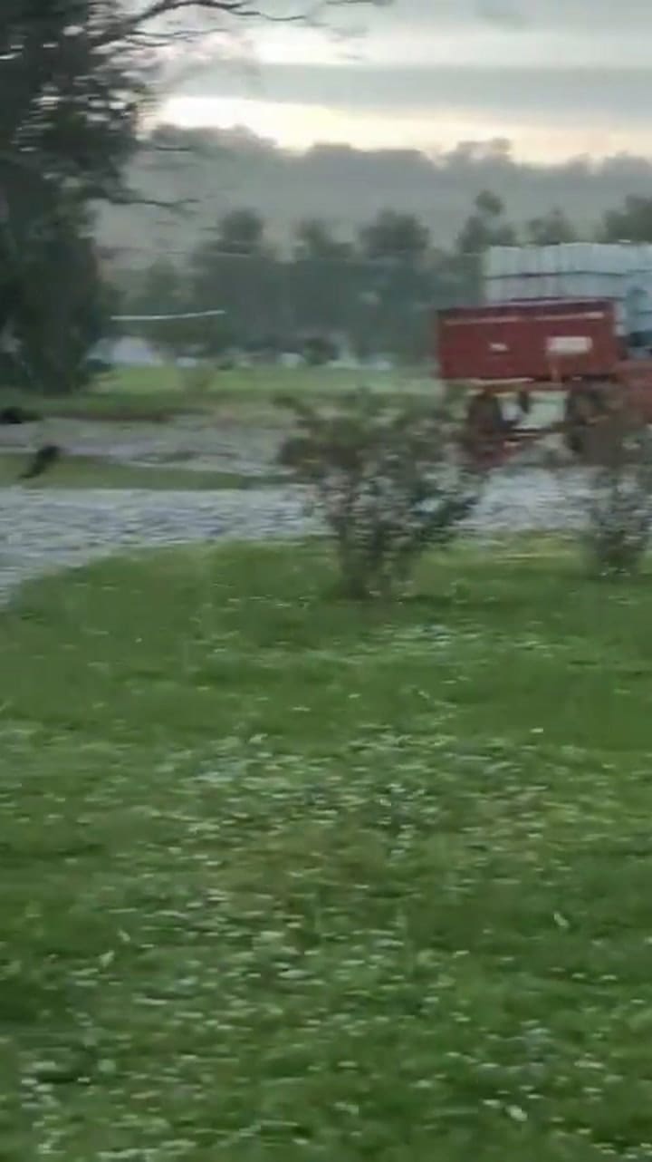 Temporal y alerta meteorológica en la ciudad y provincia de Buenos Aires: cómo seguirá el tiempo