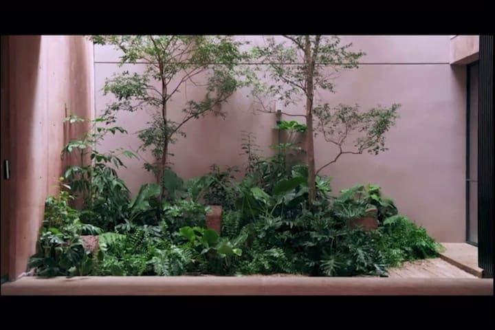 jardin Guadalajara1.mp4