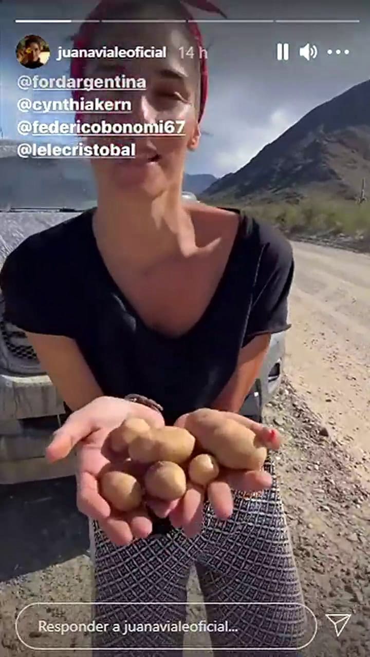En un 'roadtrip', Juana Viale se lanzó a recorrer el país junto a su mascota 'La Tota' - Fuente: Ins