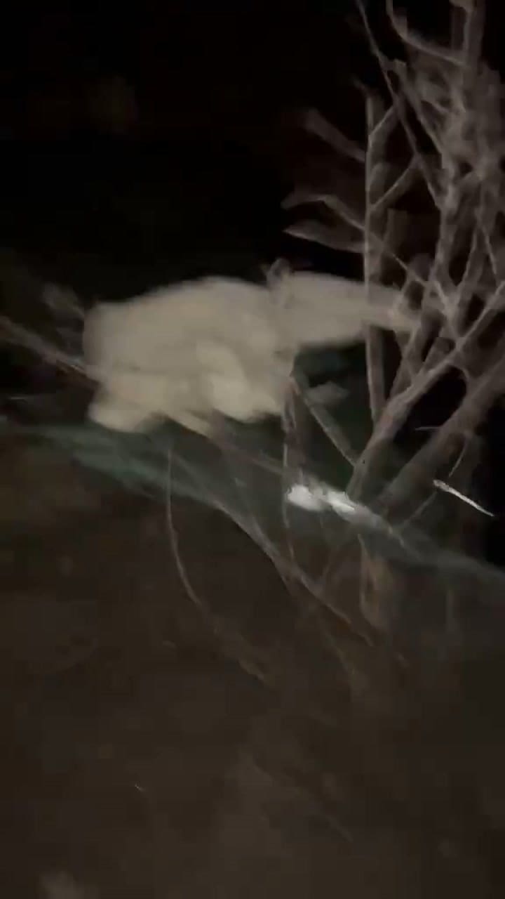 Un micro volcó en Areco