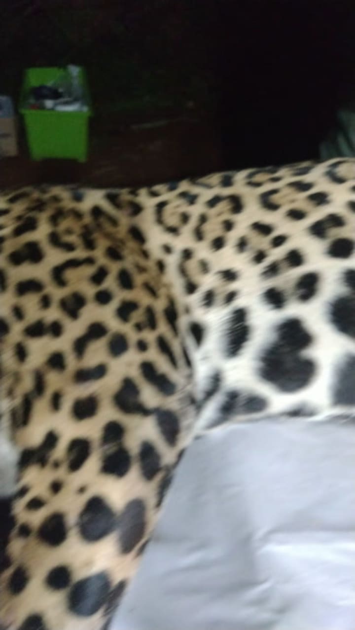 Marquezj Captura10
