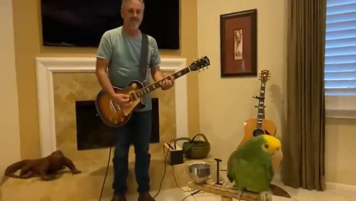 Start me up, Rolling Stones, interpretado por Tico & the man
