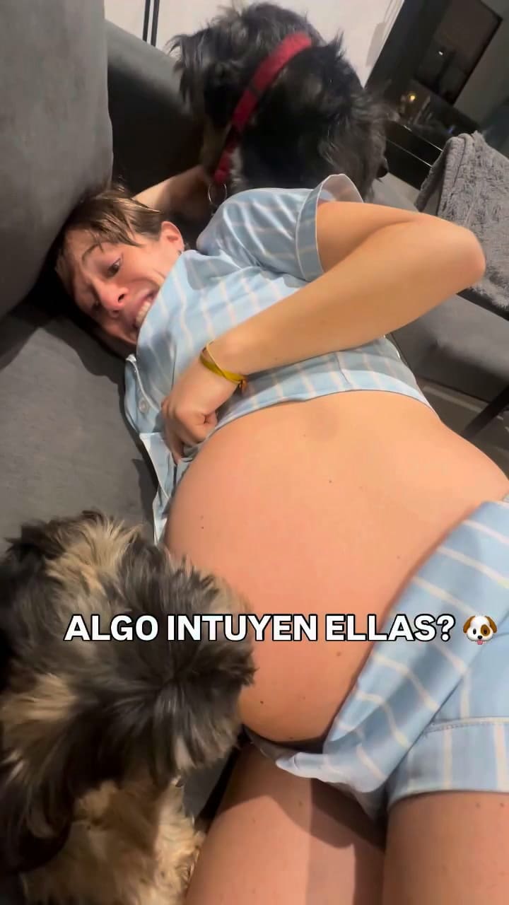 Horas antes del parto, la panelista de Lape Club Social (América TV) registró un tierno momento con sus mascotas
