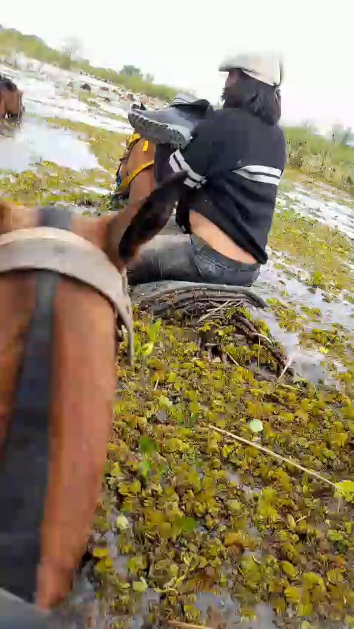 La crecida del río obligó a mover la hacienda