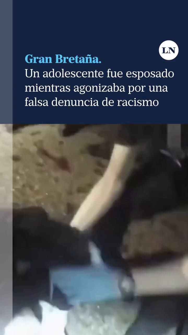 Henry Nowak, De 18 Años, Murió Tras Ser Apuñalado En Southampton. La Difusión De Las Imágenes Po