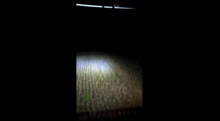 En Pergamino. El video viral de un productor