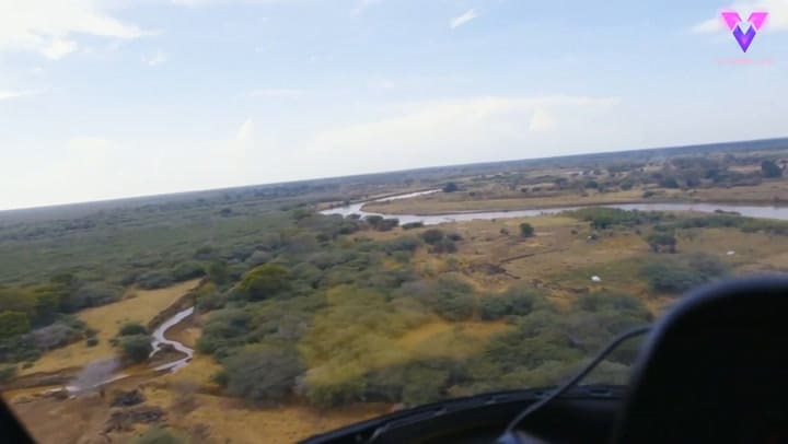 Conmovedoras imágenes del rescate de una cría de elefante atrapada en una trampa