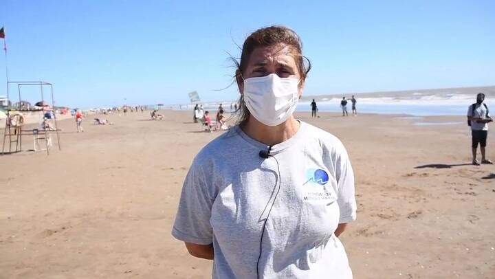 Seis tortugas fueron devueltas al mar tras una larga rehabilitación