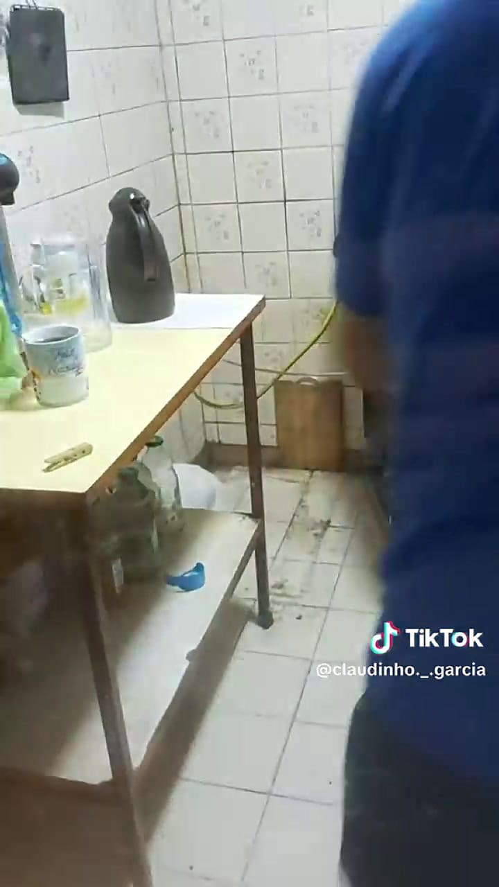 La reacción de una gata al ver a un ratón que descolocó a los usuarios de las redes