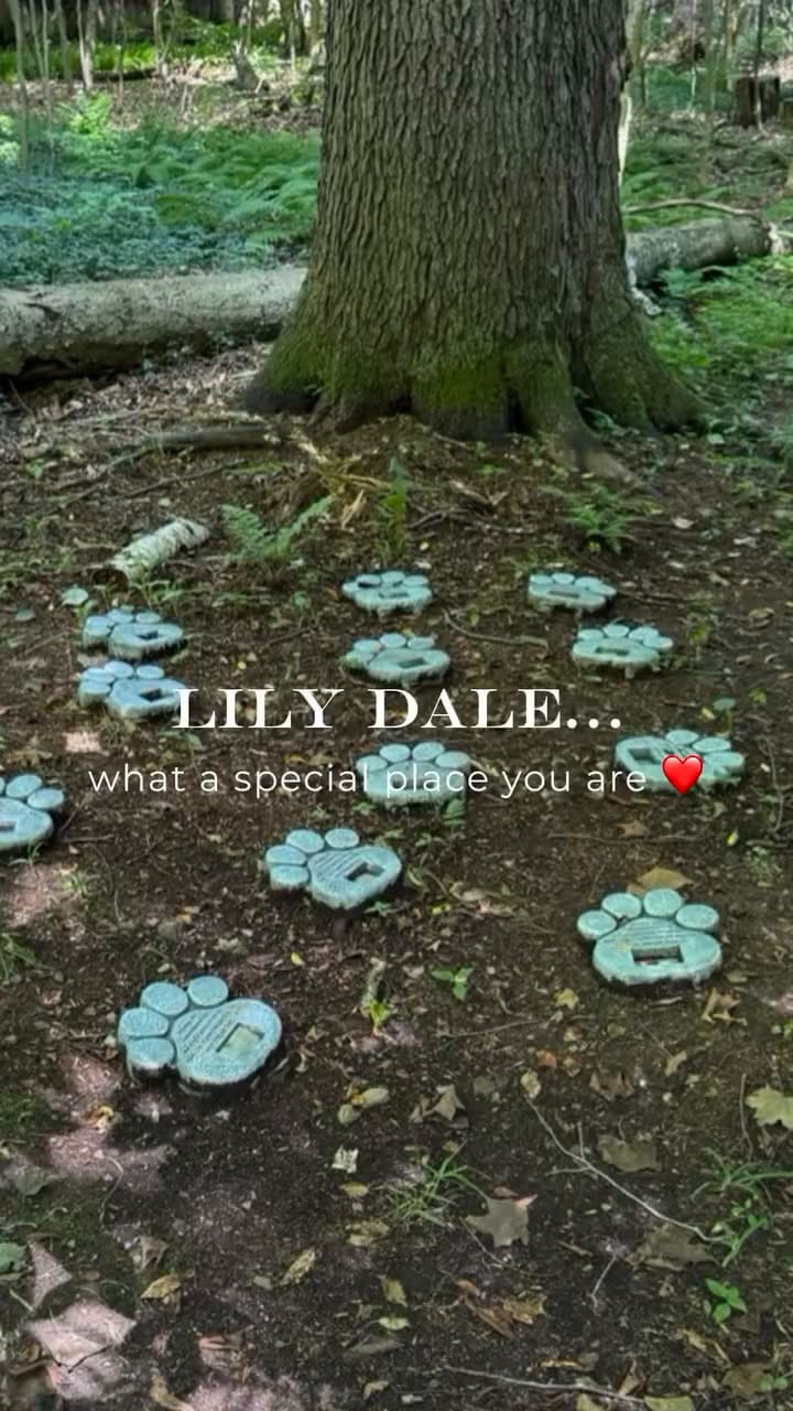 Así es Lily Dale visto desde una médium