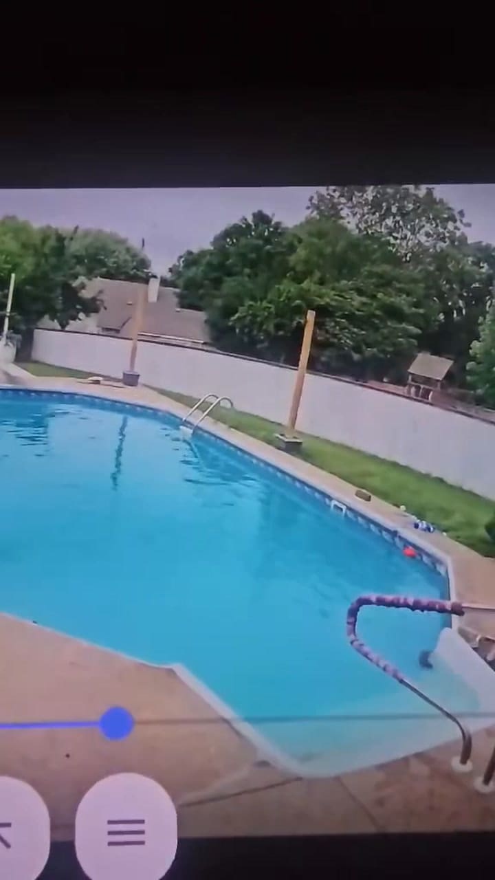El emotivo rescate de un conejo que se hizo viral