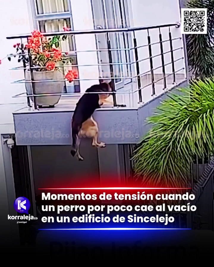 Casi se cae del balcón y su desesperación por sobrevivir lo volvió viral