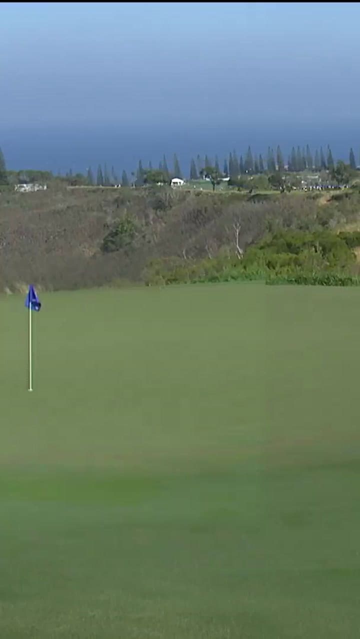 El albatros de Taylor Pendrith