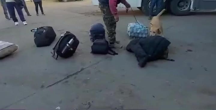 Detuvieron a un ciudadano italiano con 11 kilos de cocaína