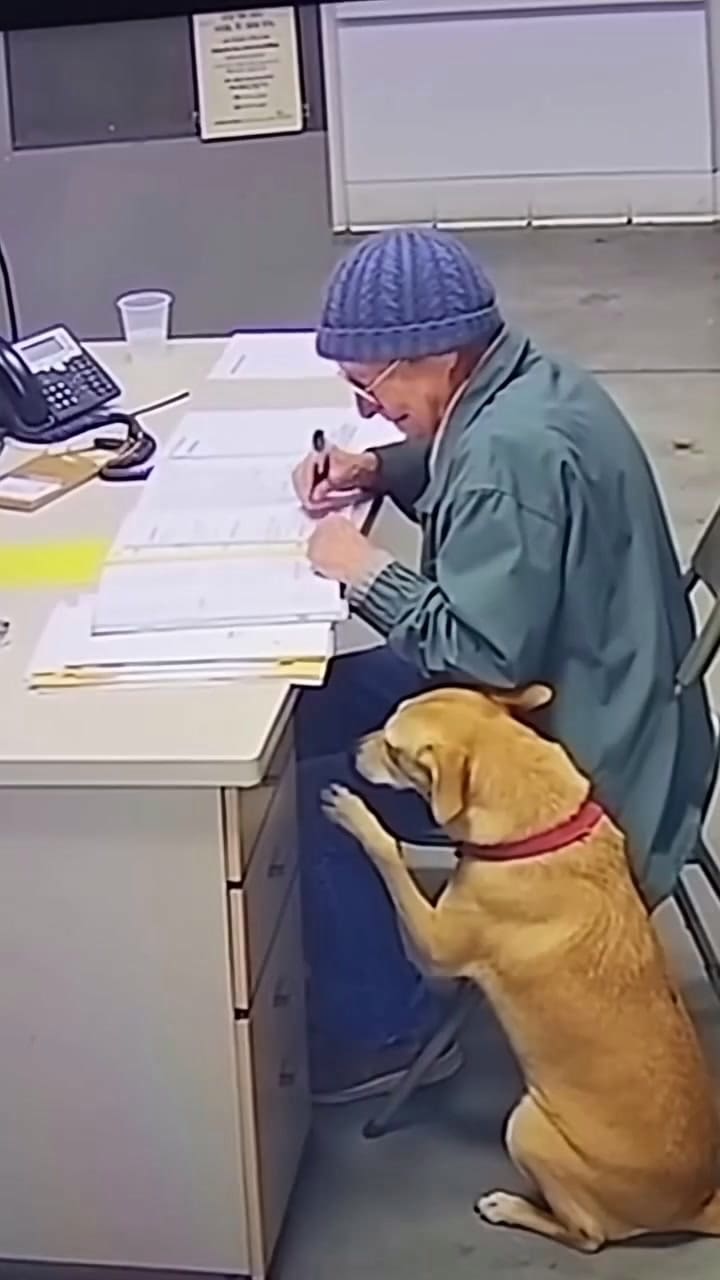 Margaret Forest de 76 años tuvo que entregar a su perrito al verse imposibilitada de cuidarlo