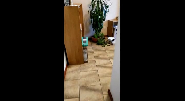 Destrozos en el juzgado de Villa La Angostura durante las protestas por el femicidio de Guadalupe