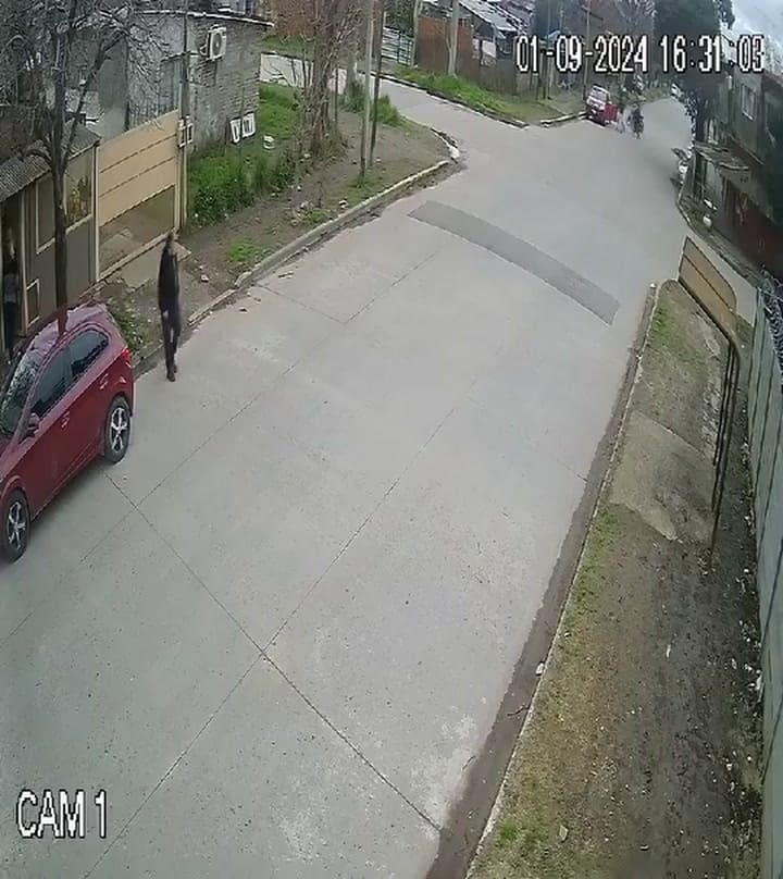 Robo motochorros Merlo