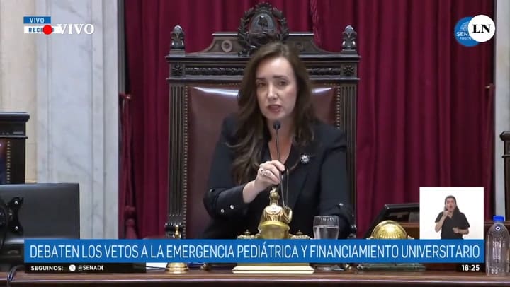 El Senado rechazó los vetos de Milei y dejó firme las leyes de financiamiento universitario y de apoyo al Garrahan