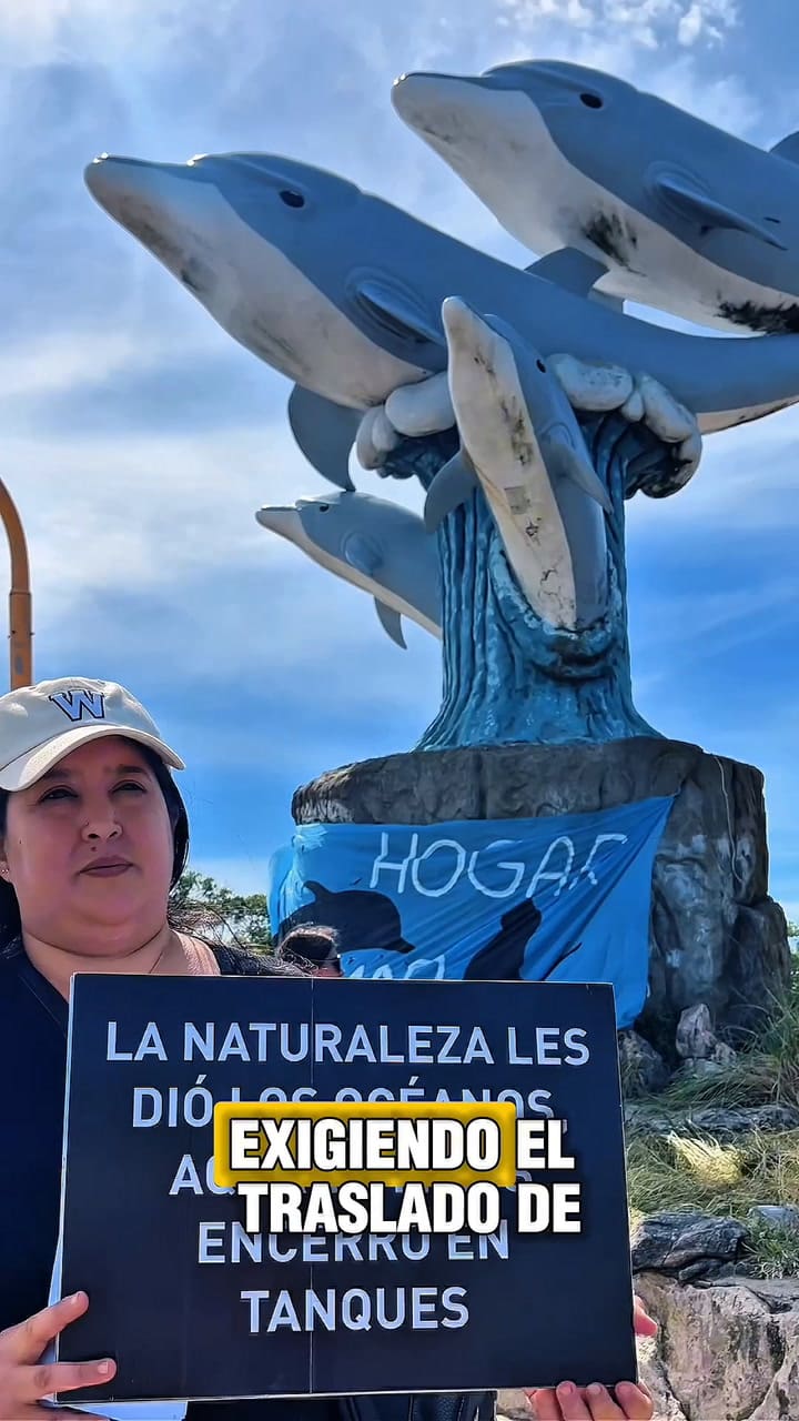 Piden que los animales del Aquarium de Mar del Plata sean trasladados a santuarios y no a acuarios similares