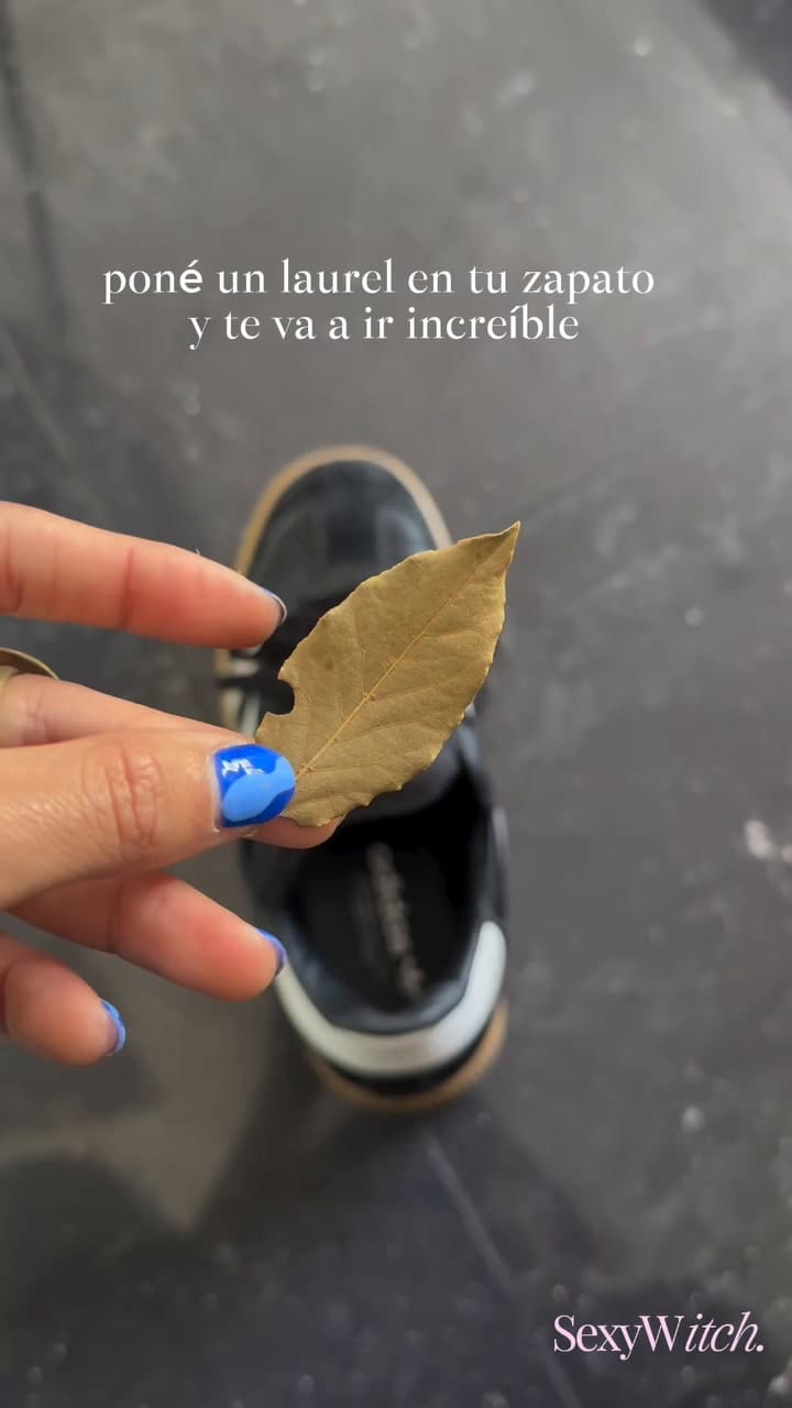 El secreto del laurel: por qué deberías poner una hoja en tu zapato antes de salir de casa