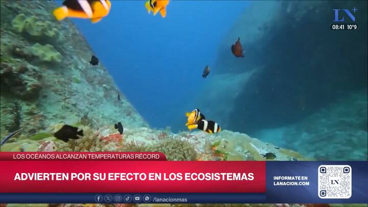 Los oceanos alcanzan temperaturas record