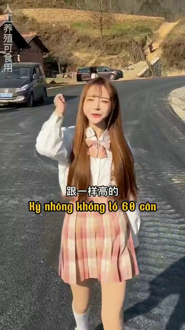 La influencer que es investigada en China por cocinar un tiburón blanco