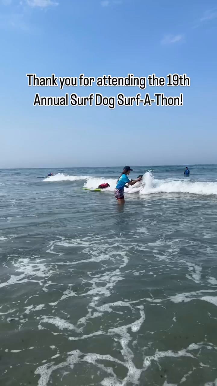 What An Unforgettable Day At Del Mar Dog Beach! We Saw Some Amazing Dogs Ride The Waves Like Pros, And The Crowd’s Energy For Cheering On These Furry Surfers! Thanks For Bringing The Shakas, And A Big Congratulatio