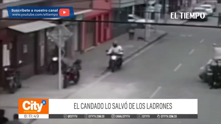 La solución que realizaron tras los robos