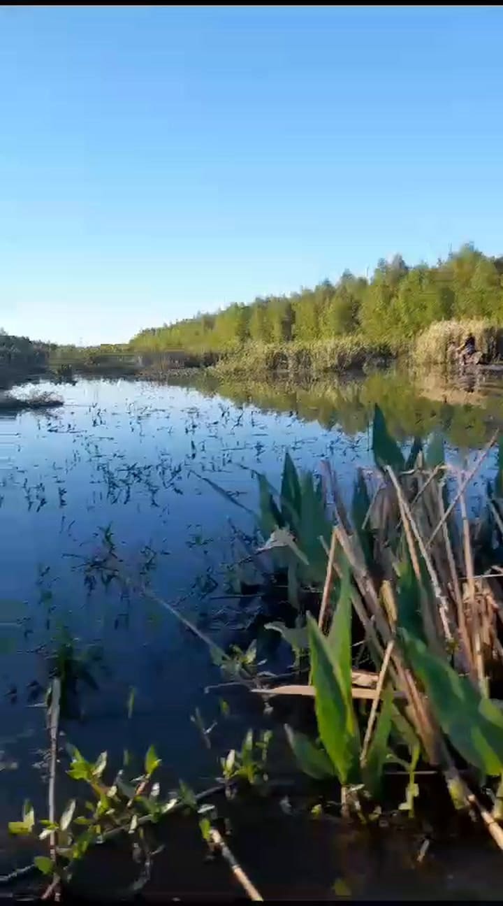 Vid-20231105-wa0035