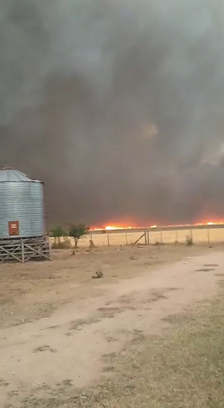Incendio en un campo ubicado en el partido bonaerense de Exaltación de la Cruz