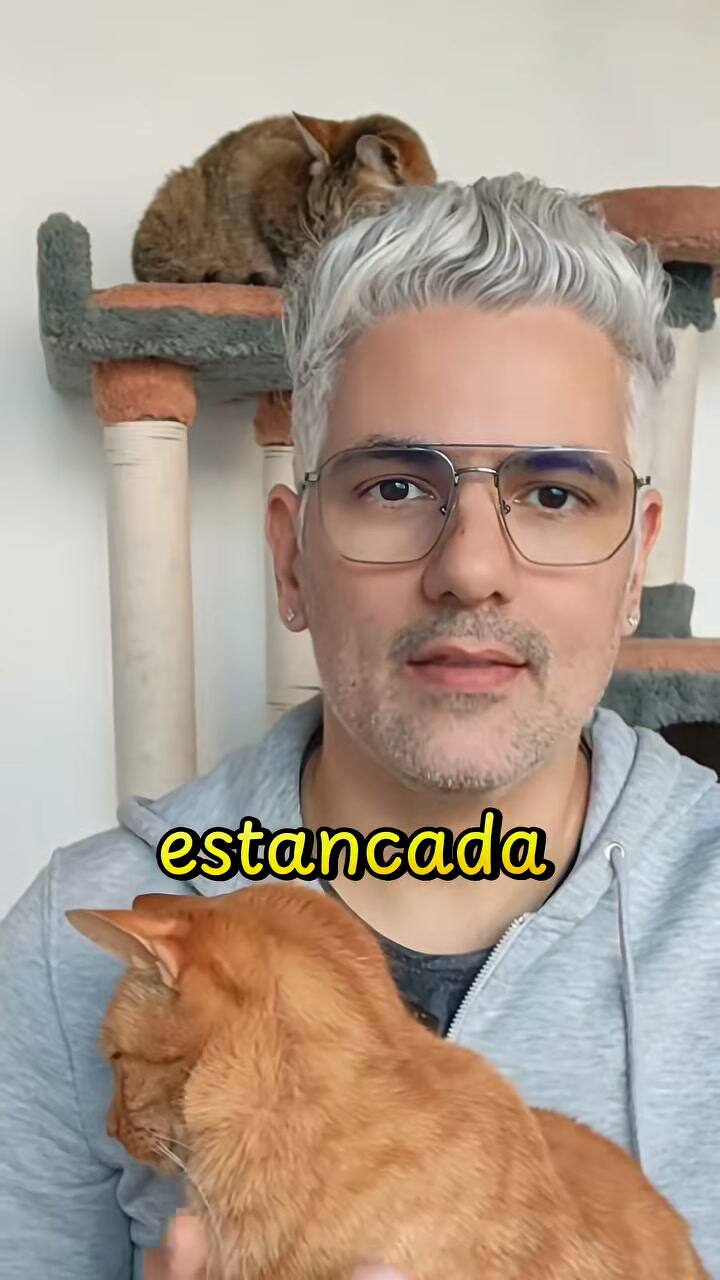 El extraño motivo por el que los gatos prefieren tomar agua desde la canilla