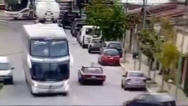 Perro La Plata