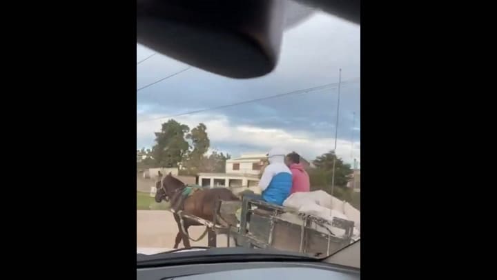 En redes. El Chino Maidana apareció vendiendo leña sobre un carro en su ciudad natal