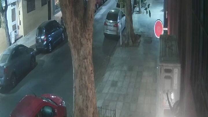 Robo Belgrano