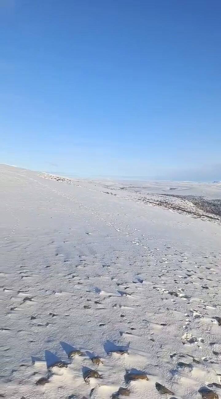 La cantidad de nieve comenzó a complicar la circulación de la gente