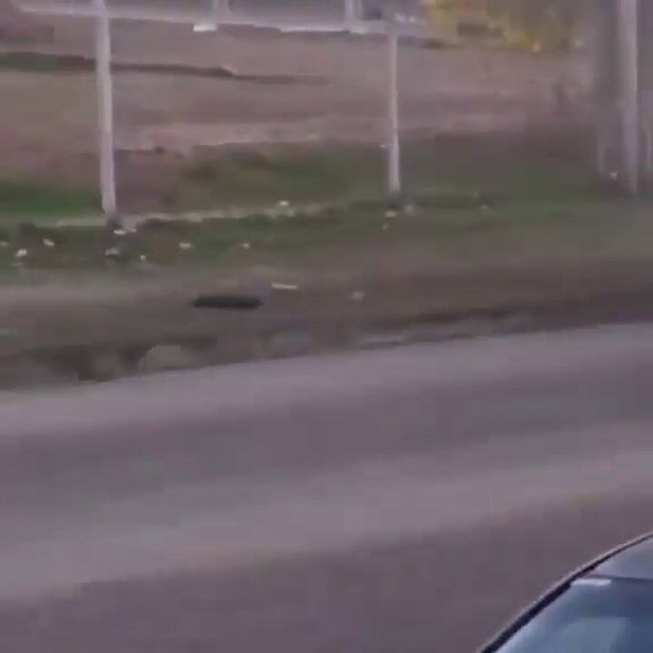 El momento en que el conductor choca distintos autos estacionados