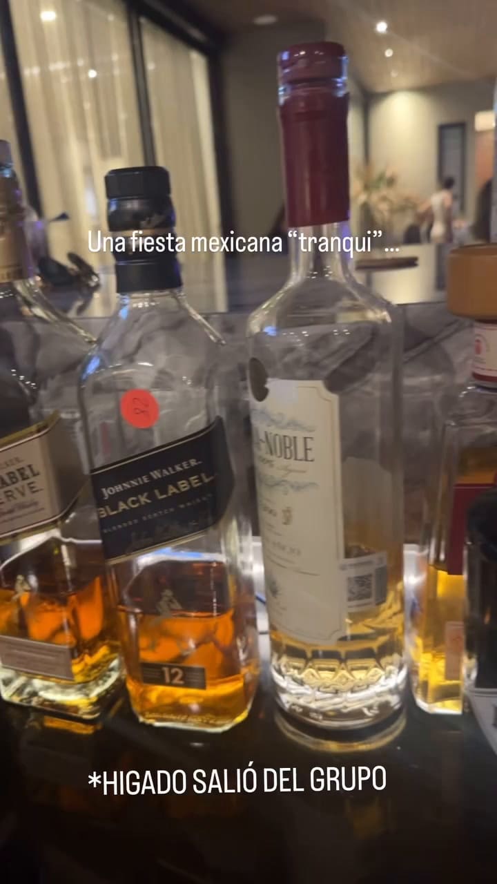 Evangelina Anderson mostró la cantidad de botellas de alcohol que había en la fiesta