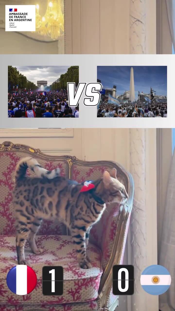 "Los pronósticos para el Mundial, desde la embajada de Francia"