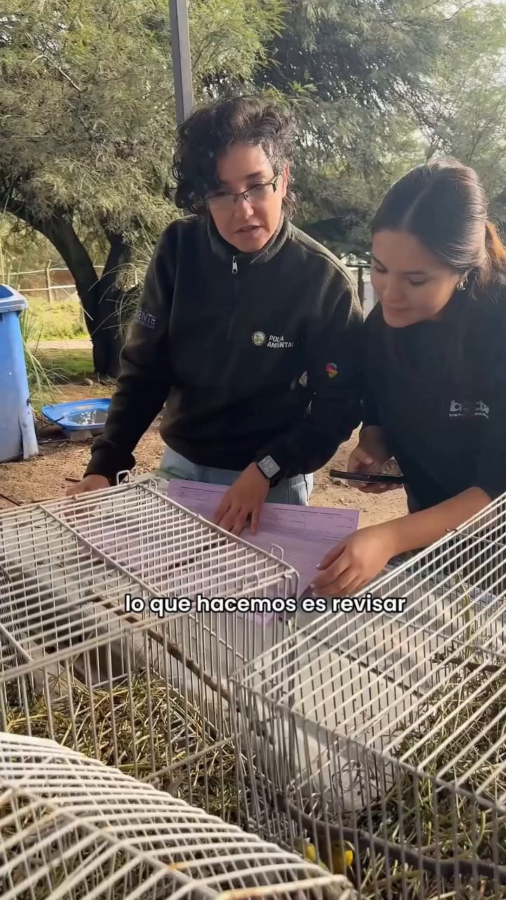 El informe del rescate
