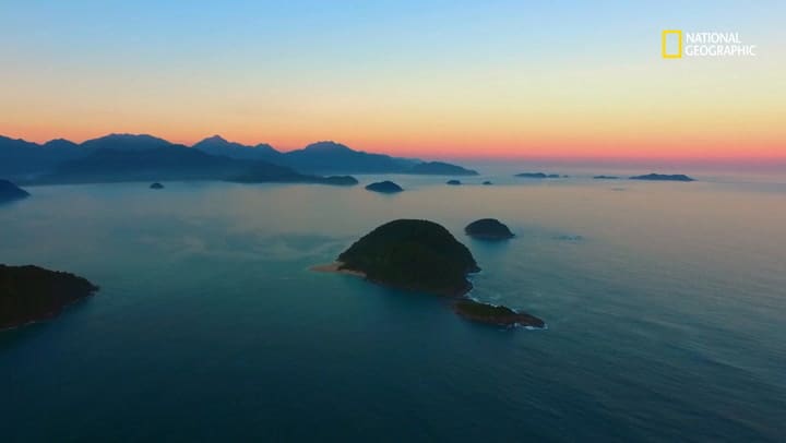 Isla Queimada Grande Serpiente Venenosa Brasil Salvaje
