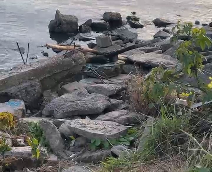 Una rata en el paseo costero de Vicente López. Fuente: LA NACION