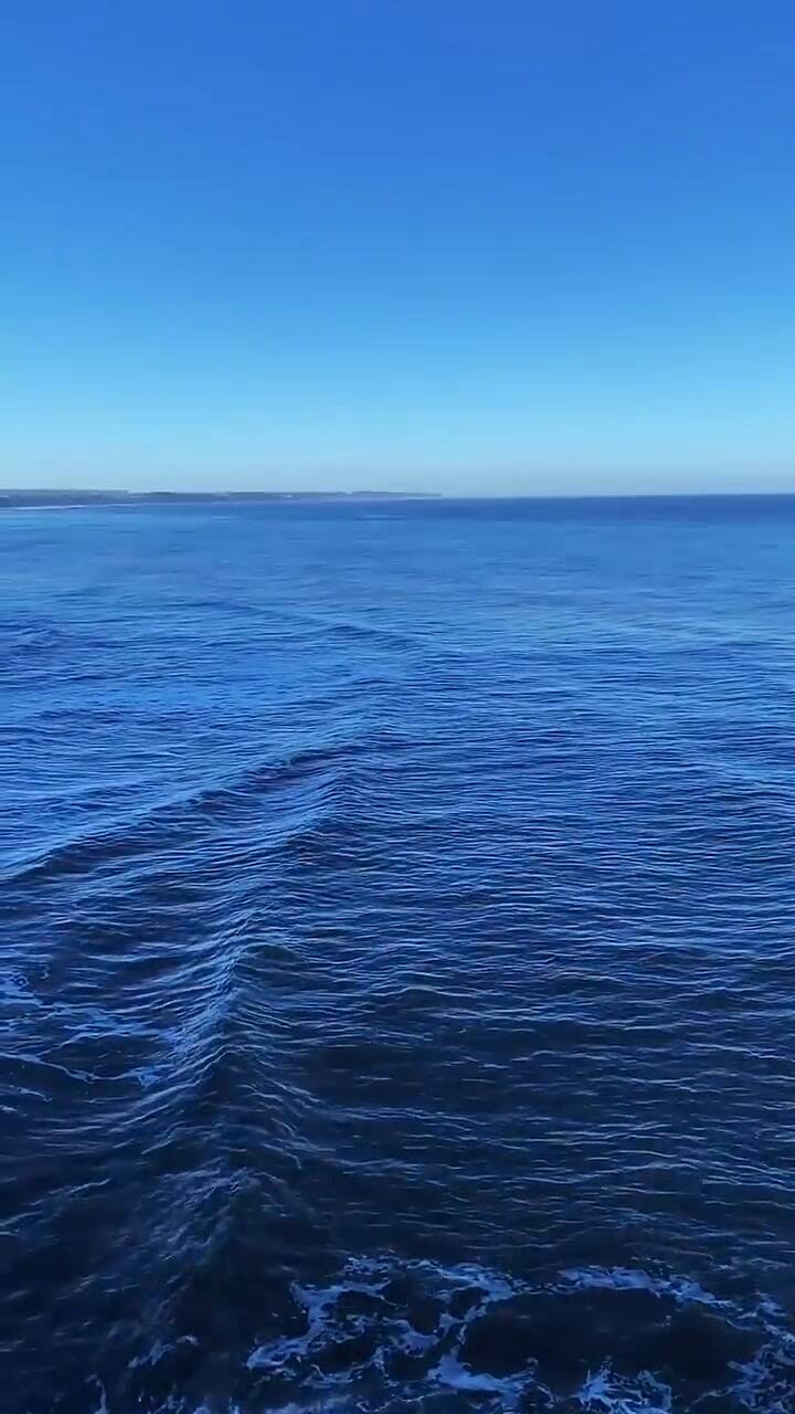 El canal Mar del Plata Notidata publicó imágenes del deterioro y la peligrosidad de la escalera en Barranca de Los Lobos