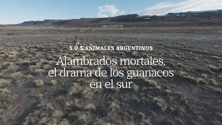 Alambrados Mortales