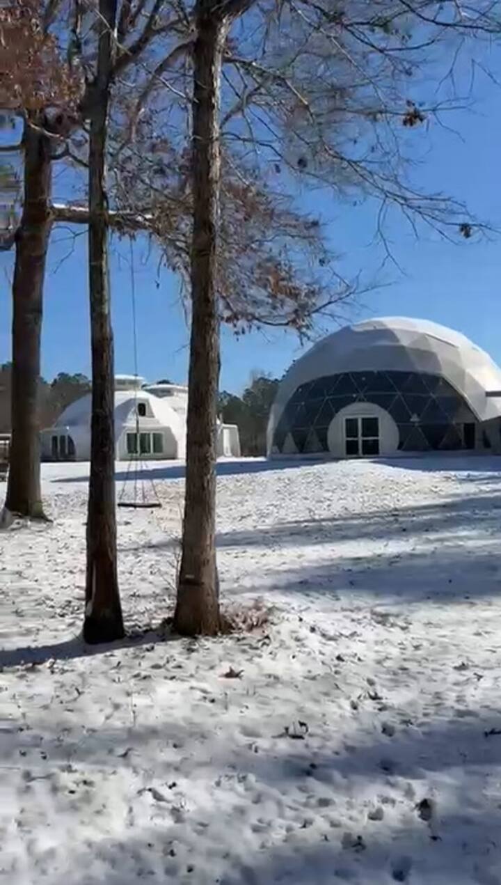 Nevada en Georgia