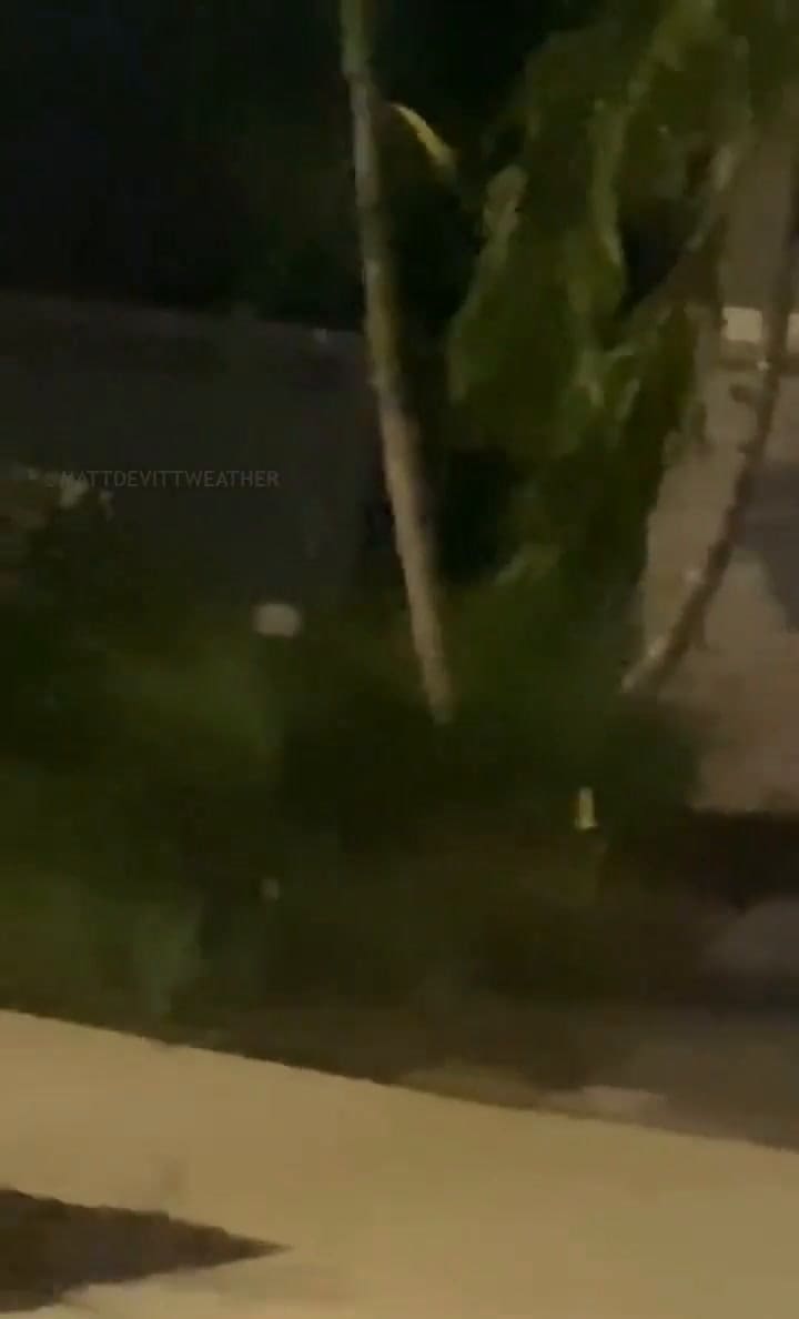 Un caimán es captado al intentar subir al techo de una casa en Florida